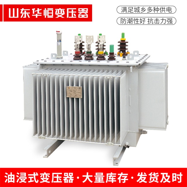 S13-10000/35洪洞洪洞洪洞电力变压器